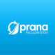 Рекуператоры и системы вентиляции Prana в Киеве