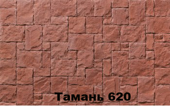 Колірне рішення 620